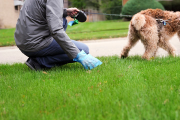 Man  Picking up / cleaning up dog droppings