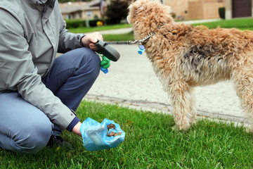 Man  Picking up / cleaning up dog droppings