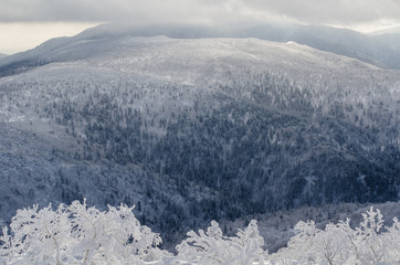 Fototapeta na wymiar Sakhalin winter