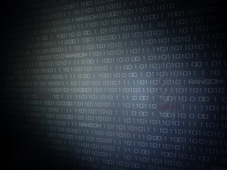 binary code background with ransom and virus text on computer screen display