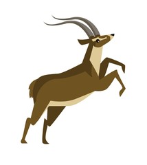 gazelle running