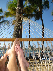 hammock in tropical paradise