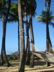 hammock in tropical paradise