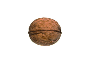 walnut isolated on white background