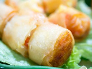 Close up picture of spring roll pork and seafood