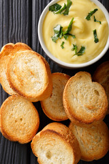 cheese dip sauce with toasted bread close-up. Vertical top view