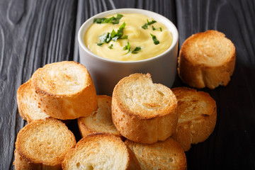 Fried baguette and cheese cream sauce dip close-up. horizontal