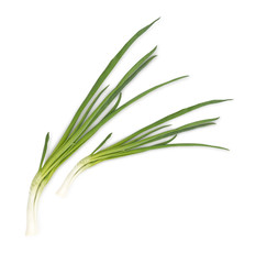 Young Green Onion Isolated