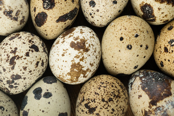 Obraz premium Quail Eggs Background