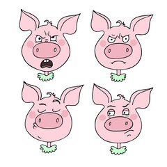 Set of angry pig's emotions
