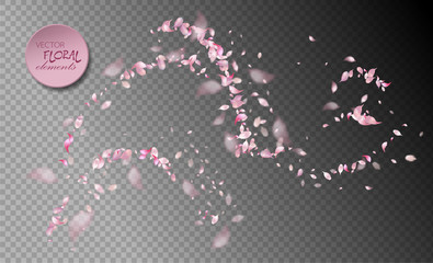 Vector Flying Petals
