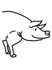 kopf voderseite halbes schwein seitlich süß niedlich comic cartoon lachen clipart