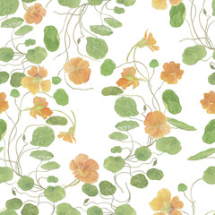 Watercolor painting seamless pattern with nasturtium flowers