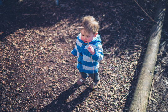 Cute little boy exploring nature