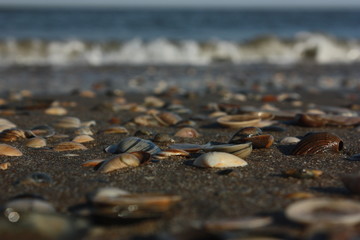 North sea, Netherlands