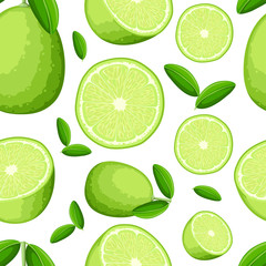 Fototapeta na wymiar Seamless pattern of lime and slices of limes. Vector illustration of limes. Vector illustration for decorative poster, emblem natural product, farmers market. Website page and mobile app design