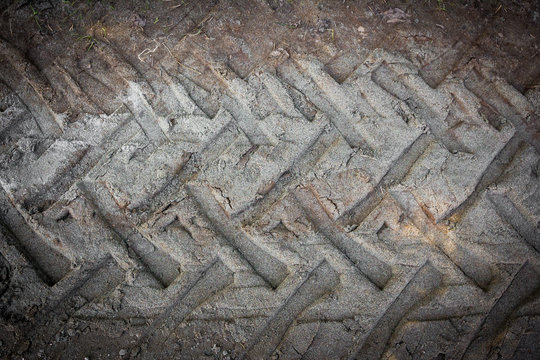 Tire Tracks On A Muddy Road