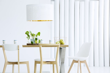 Wooden chairs in white interior