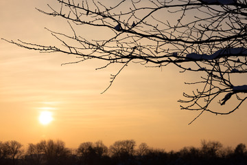 Obraz premium Winterly sunset, Vienna, Austria