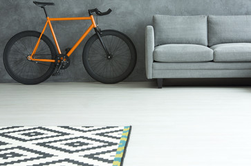 Living room with orange bike
