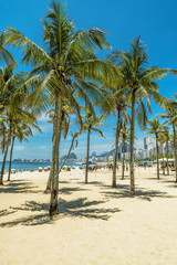 Fototapeta na wymiar Palm trees with shadow on the Copacabana Beach. Rio de Janeiro, Brazil