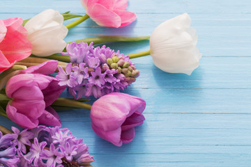 beautiful spring flowers on blue wooden background