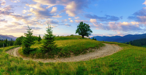 Panorama of beautiful summer morning in mountains.