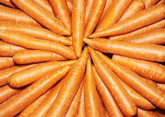 Fresh organic carrots. Background texture of carrots.