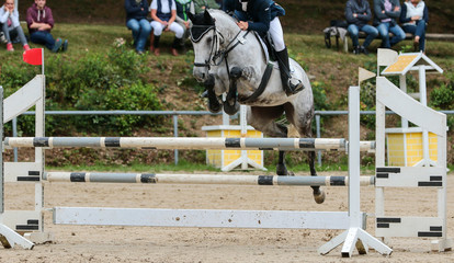 horse in jumping tournament, over or between jumps..