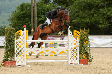 horse in jumping tournament, over or between jumps..