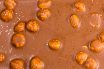 Background of the dark chocolate with a hazelnuts