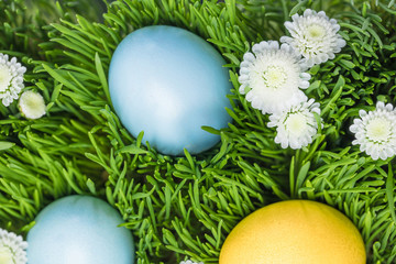 Three painted easter eggs on lawn with camomiles, easter concept