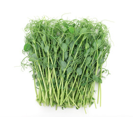 pea sprouts