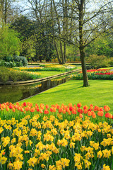 Frühling im Keukenhof in Lisse, Holland