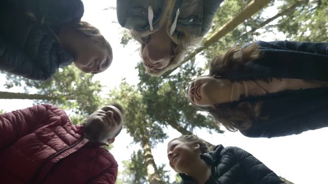 Young motivated trekkers team on mountaineering competition planning strategy cheering and doing high five teamwork gesture with hands