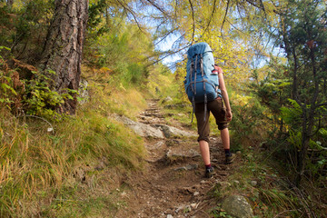 Bergsteiger und Wanderer steigt im Wald hinauf, Pfad, Lärchenwald