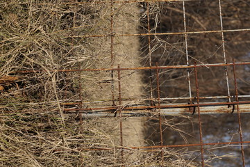Rusty fence made of wire for concrete floor work. High grass.
