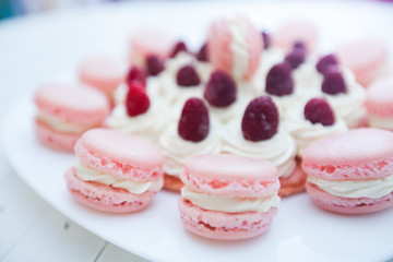 Raspberry Cake with Macarons