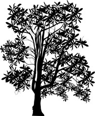 black tree with large leaves on white
