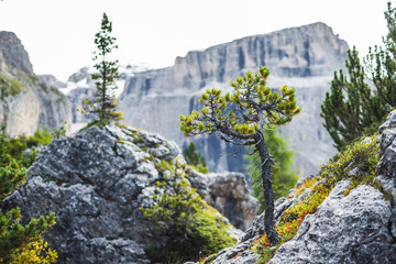 Typical beautiful landscape somewhere in Dolomites