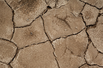 Pattern of a cracked arid ground