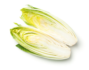 Chicory Isolated on White Background