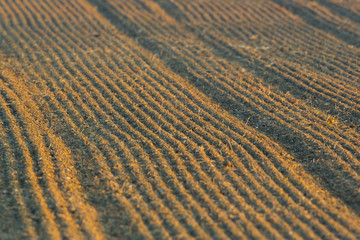 newly furrowed farmland soil with furrows