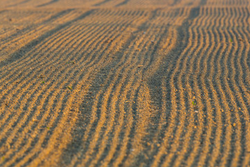 newly furrowed farmland with furrows
