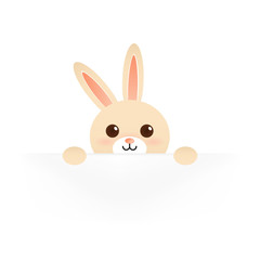 Hase auf weißem Hintergrund