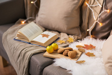 lemons, book, almond and oatmeal cookies on sofa