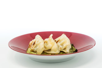 Chinese food Fried dumplings on plate