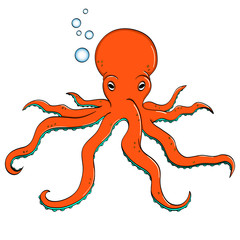 Sea animal, octopus. Inhabitant of the depths of the ocean. object on a white background vector.