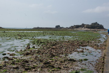 Ile Anglo Normande Jersey