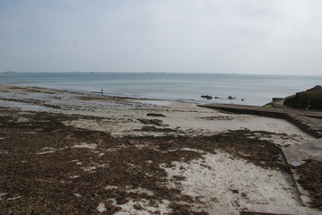 Ile Anglo Normande Jersey